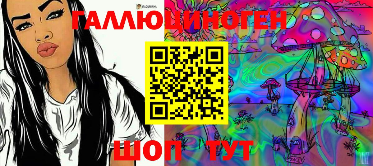 Междуреченск  Псилоцибиновые грибы MAGIC MUSHROOMS  Вход с VPN 