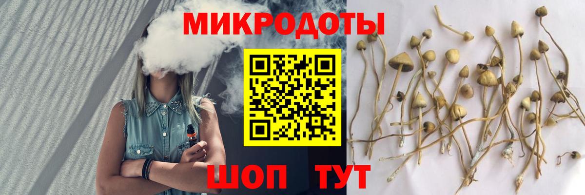 Псилоцибиновые грибы мухоморы Междуреченск